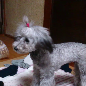 ネタが無いので！の画像