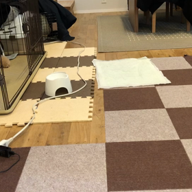 嫁いだファミリーからのSOS⁉️の画像