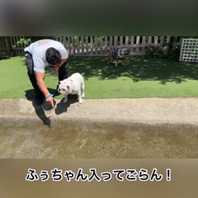 母ふぅらを助ける娘むぎちゃの画像