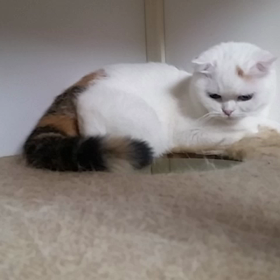 もう寝るの？の画像