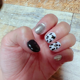 最近の出来事の画像