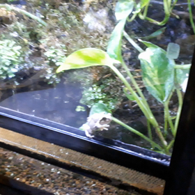 冬眠なし‼️の画像