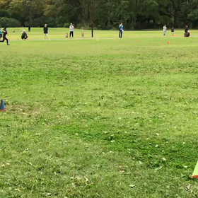 10色リレー(折り返し付近)⑤の画像