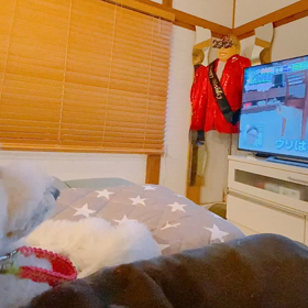 テレビっ子の画像