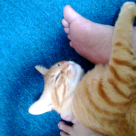 甘えん坊？の画像