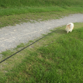 動画投稿テストの画像