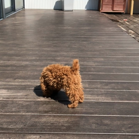 運動の時間の画像