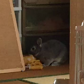 コレ、ボクのじゃない!!!の画像