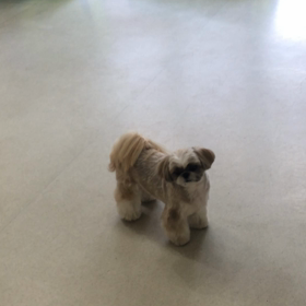 ♪プレイルーム動画♪の画像