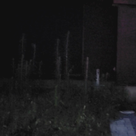 宇宙人の一日　～歌はメイドインアビス～の画像