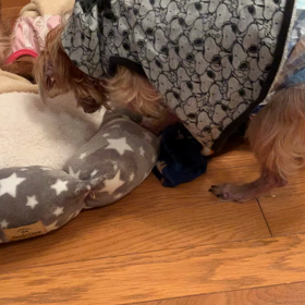 安全運転でお願いしますの画像