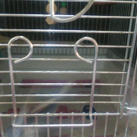 次はクーちゃんが………の画像