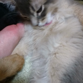 社長さんの画像