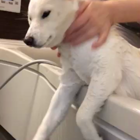 入浴シーンの画像