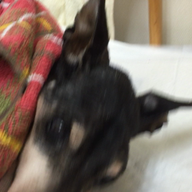 ウィズ君のサポファミの皆様への画像