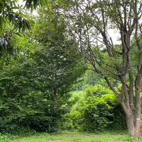 “自然と音遊び” プロジェクト vol.053！の画像