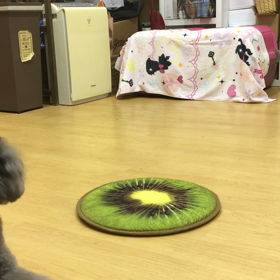 戻れんようにアタシが盾になった。の画像