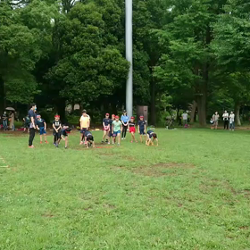 ダッシュ(赤チーム)①の画像