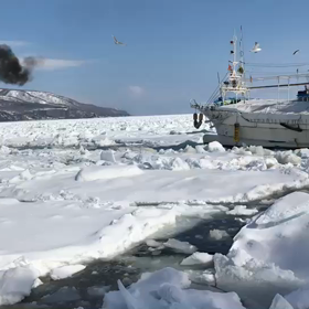 もひとつ羅臼の画像