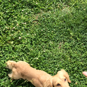 ☆ムービー☆の画像