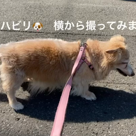 今日のリハビリ~横から撮影の画像