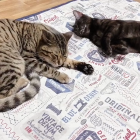 可愛い♂ゆきまる王子の画像