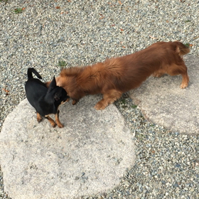 猪名川農業女子PJの画像