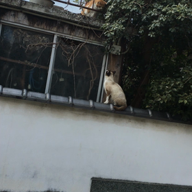 アンハッピーバレンタイン…ヤロー1人でワークアウトボンバーの画像