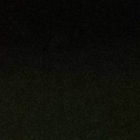 猫背のたぬきがね？！の画像