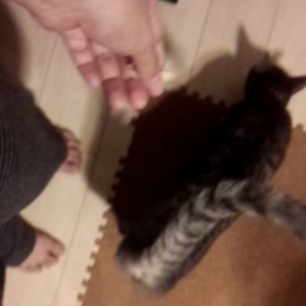 ふーどふぁいたー。の画像