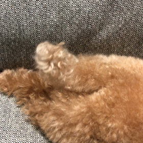 ちぎれる？の画像