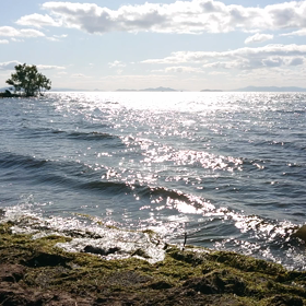 びわ湖は海さ!の画像