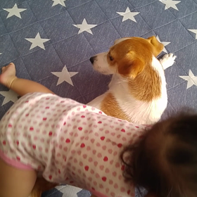 お盆だな～の画像