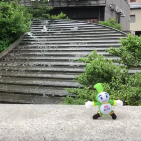 5/28の画像