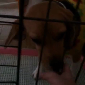 お出迎えの画像