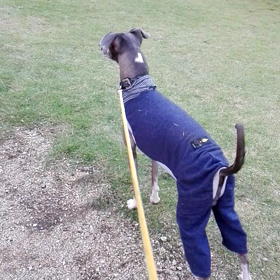 注意散漫の画像