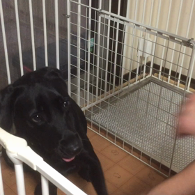 は〜ちゃん、真剣白刃取りに挑戦！の画像