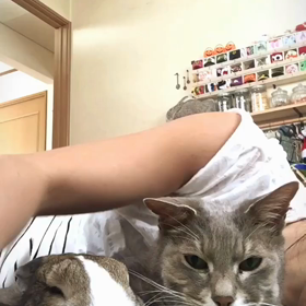 贅沢な悩み♡の画像