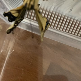 新しい環境の画像