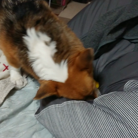 そこで遊んじゃうの～の画像