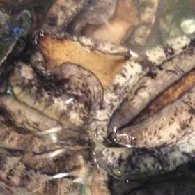 またまた来たよ〜(^.^)の画像