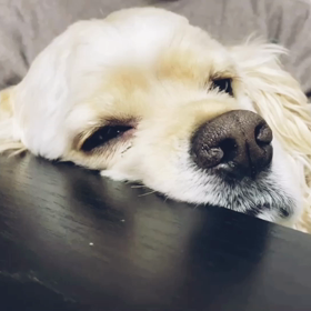 このあたりで一度。の画像