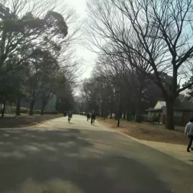 連休最終日の画像