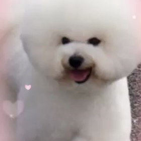 歌う嵐…ARASHI～☆の画像