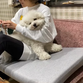 ベッタリ、べたべた♡の画像