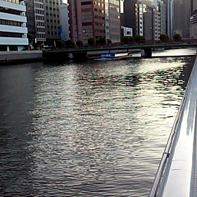 風の音(ヅラ飛びそうだ)の画像