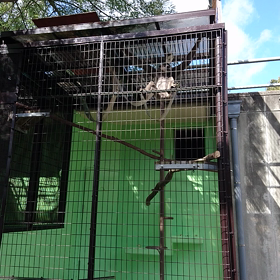 今日は動物園に連れていってもらいました❗(^ー^)の画像