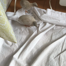 いつもの風景の画像