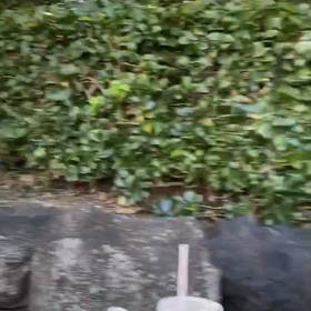 やっと安泰か？の画像