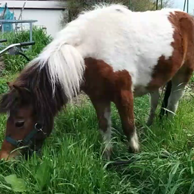 昨日のサクラ(^-^)/の画像